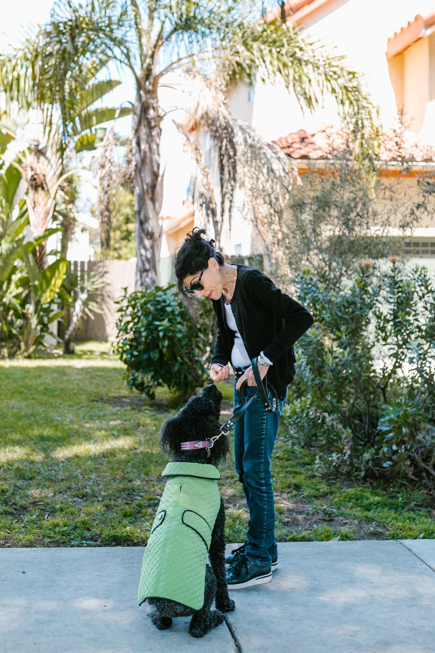 A woman training her poodle in a sunny garden.