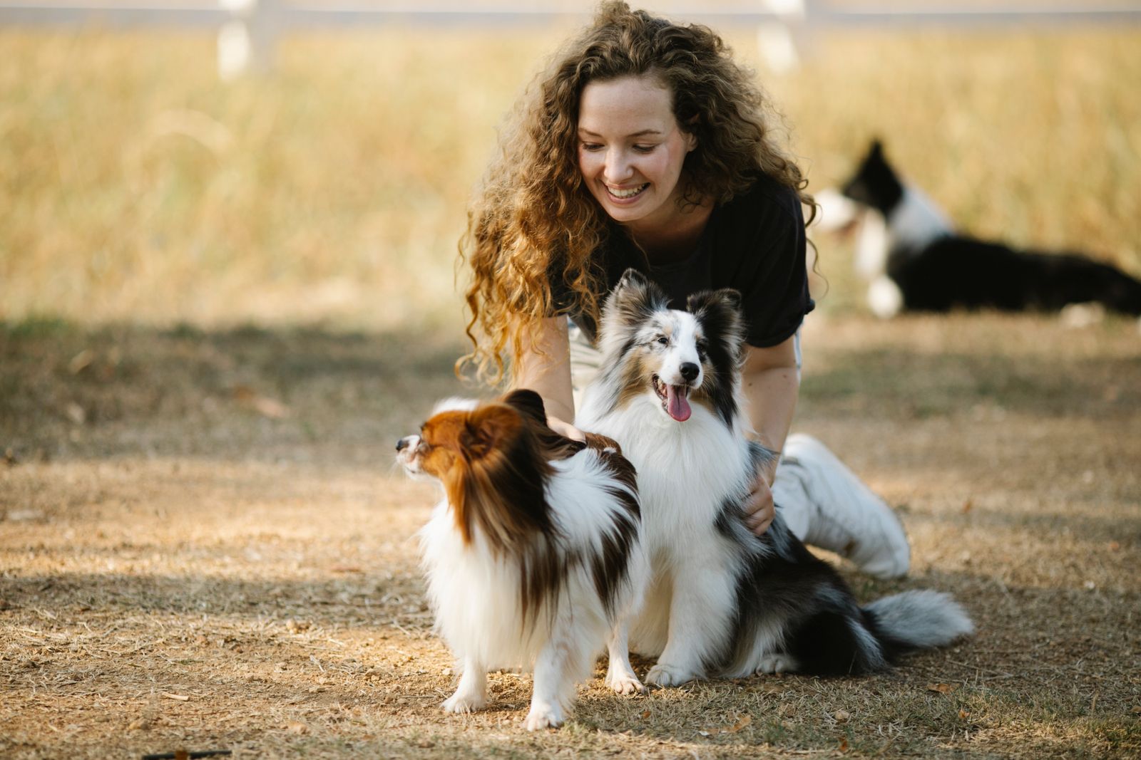 Pet lovers enjoying time together with happy dogs in a quiet park in soft daylight.